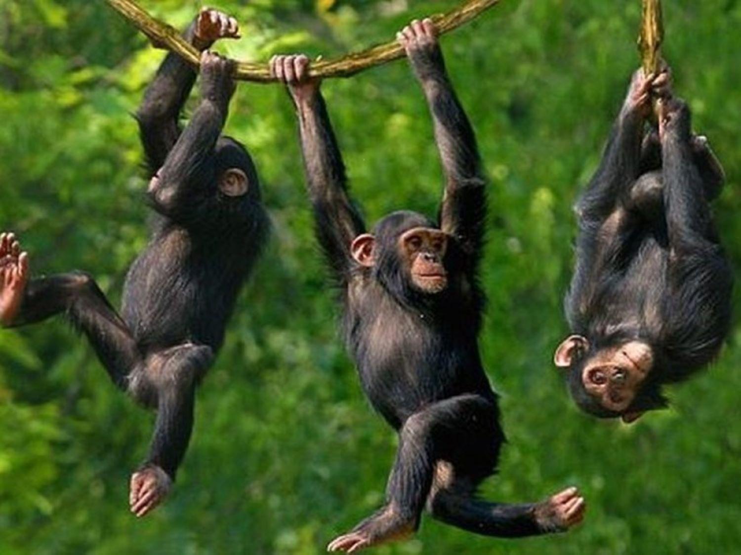 Wielewaal Bush Lodge Marloth Park Buitenkant foto