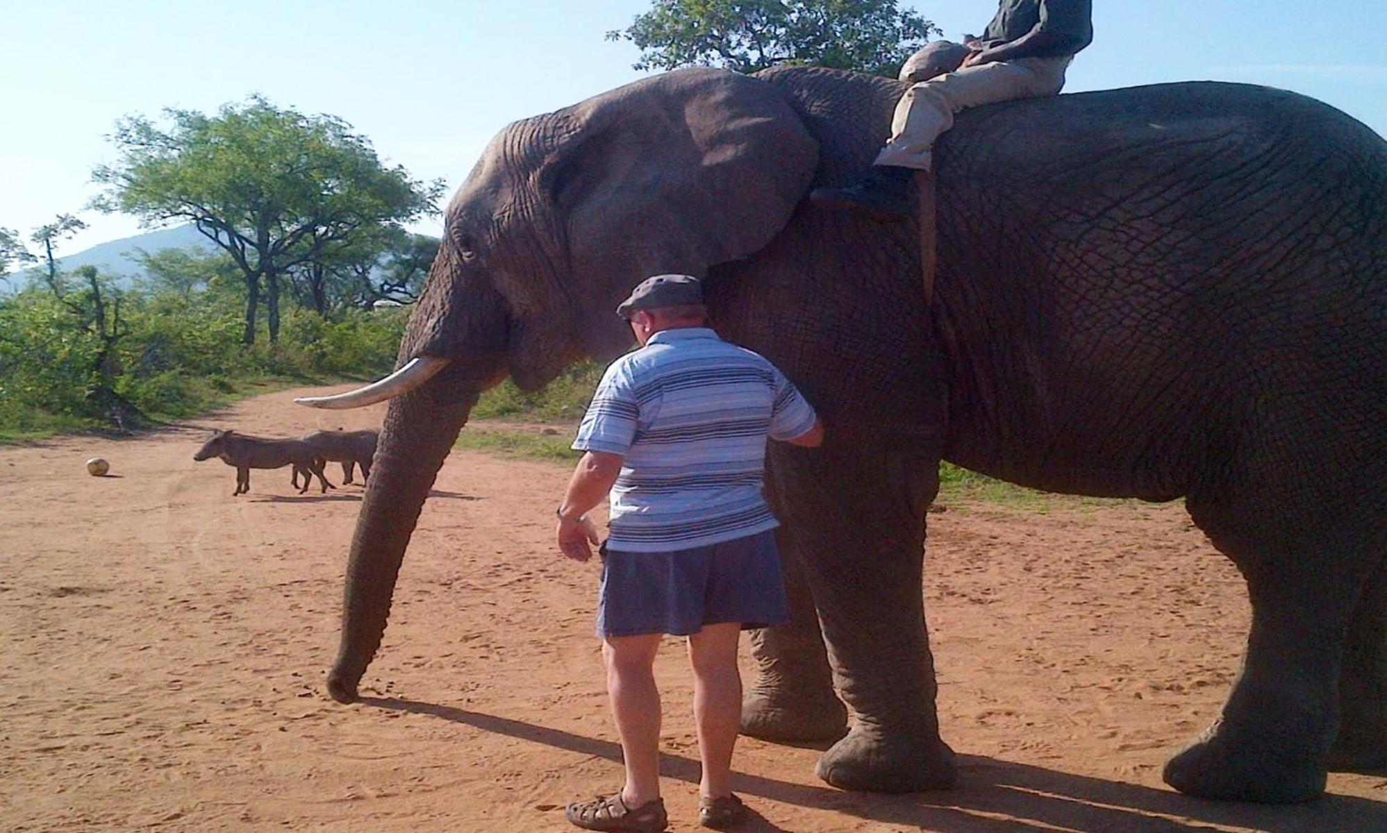 Wielewaal Bush Lodge Marloth Park Buitenkant foto
