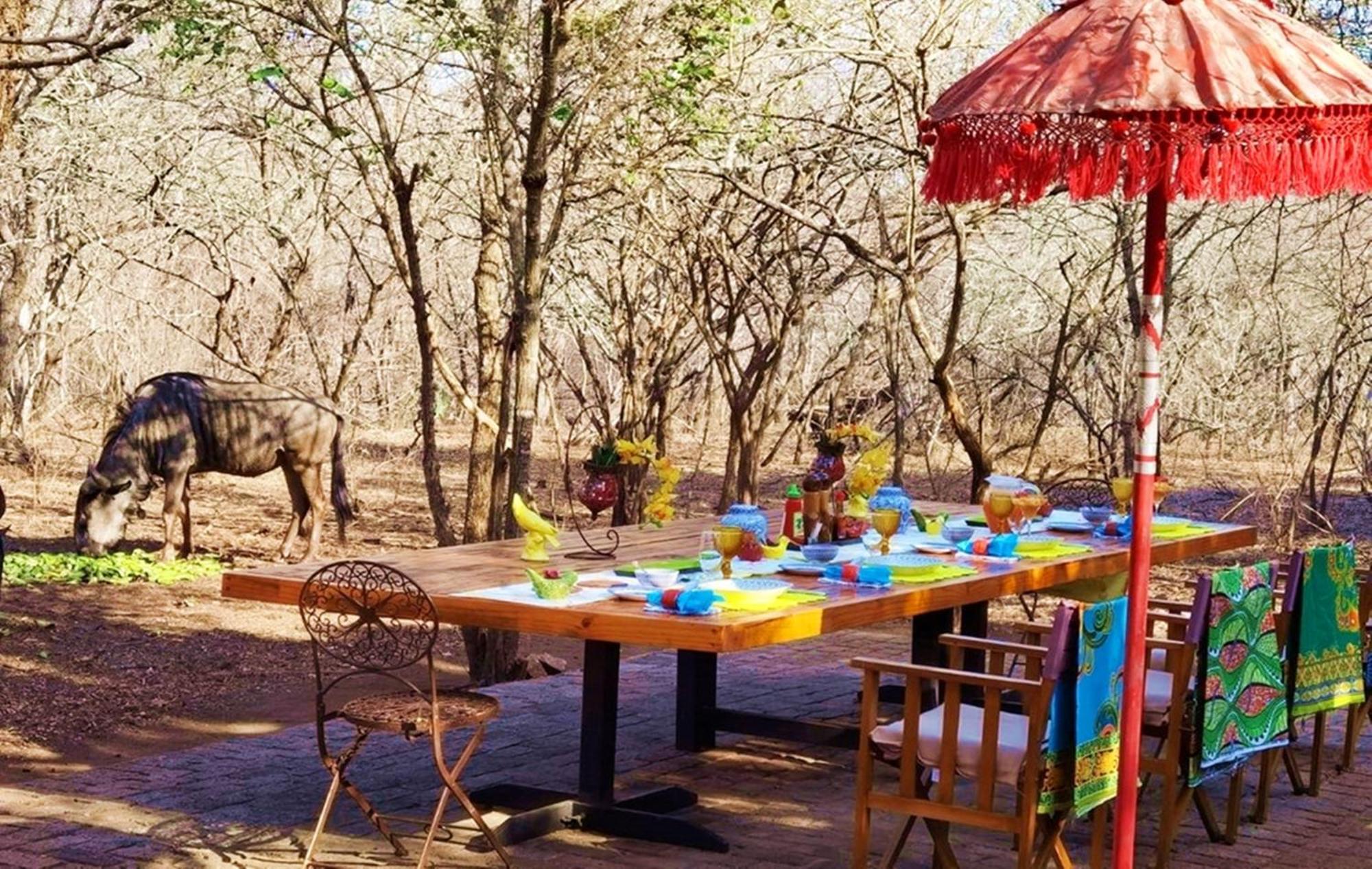 Wielewaal Bush Lodge Marloth Park Buitenkant foto